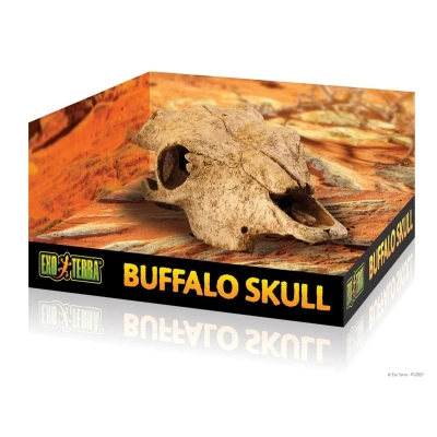 Bild av Exo Terra Buffel Kranium