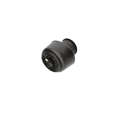Bild av Luftfjäder, hjulupphängning Kavo parts SAS 10001