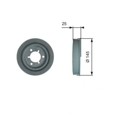 Bild av GATES TVD1056 Poulie Damper 145 sans accessoires avec amortissement FleetRunner Micro V Stretch Fit PEUGEOT: 206 3/5 portes, Partner I Van