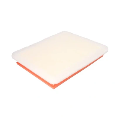 Bild av Luftfilter FILTRON AP 051/6