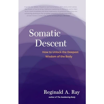 Bild av Somatic Descent: How to Unlock the Deepest Wisdom of Body