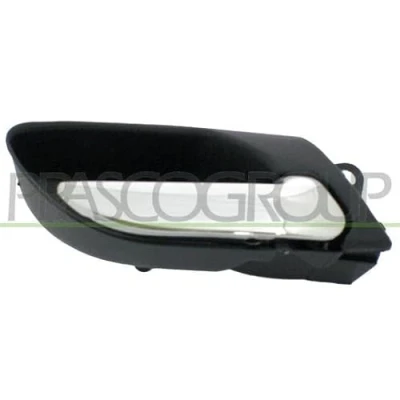 Bild av PRASCO BM0188401 Poignée De Porte intérieur, avant droite chrome/noir BMW: 3 Berline, Touring, Cabriolet