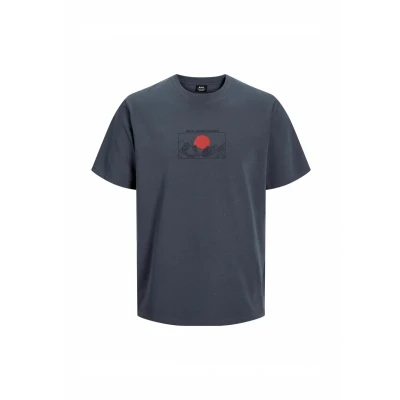 Bild av R.D.D. Royal Denim Division Tshirt med print, Storlek: Large, Ombre blue