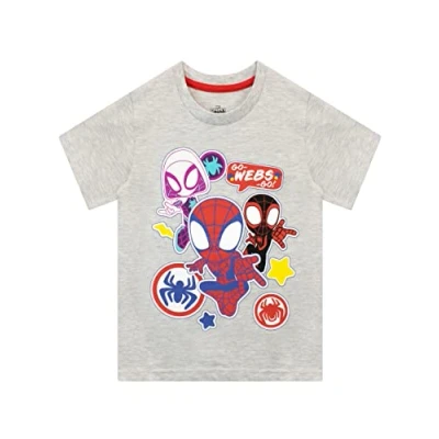 Bild av Marvel Pojkar T Shirt Spiderman Grå 104