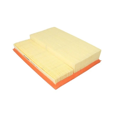 Bild av Luftfilter FILTRON AP 118/6