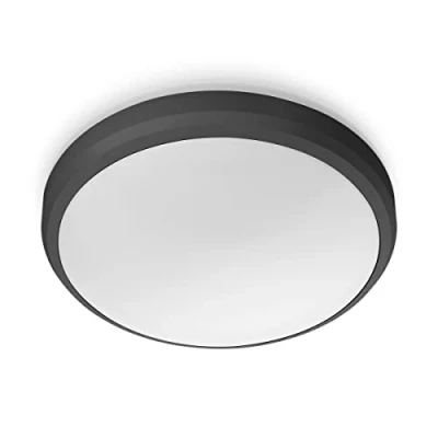 Bild av Philips Doris Ceiling 6W 4000 Kelvin, Svart, IP54, utomhusbelysning (spotlight) för terass, altan och balkong, LED, modern design