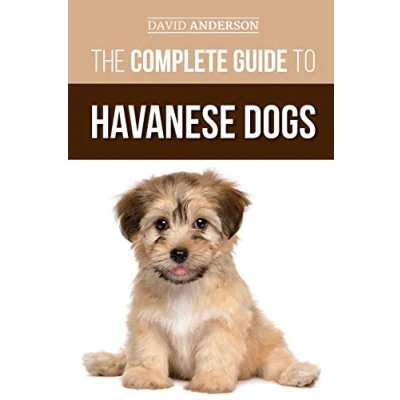 Bild av The Complete Guide To Havanese Dogs: Everything You Need Know Successfully Find, Raise, Train, and Love Your New Puppy