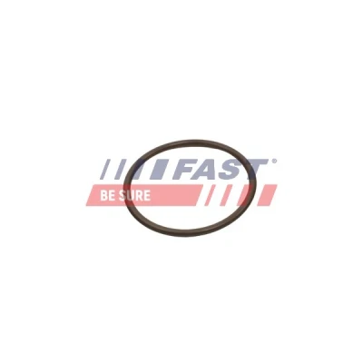 Bild av Tätningsring, laddluftslang Fast FT49933