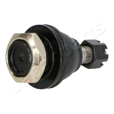 Bild av ASHIKA 73 01 115 Rotule de suspension Essieu avant inférieur 43 18X1,5 19,5 107 NISSAN: Navara Pick Up, NP300 up
