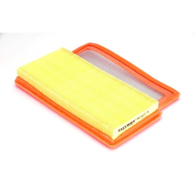 Bild av Luftfilter Filtron AP 022/4