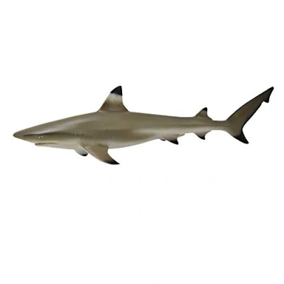 Bild av CollectA Blacktip Reef Shark