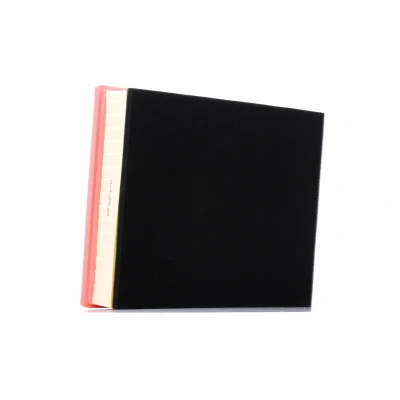 Bild av AUTOMEGA 180022810 Filtre à air 72 258 314 rectangulaire Cartouche filtrante avec préfiltre VOLKSWAGEN: Amarok Pick up