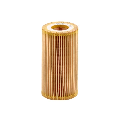 Bild av Oljefilter MANN FILTER HU 718/1 n