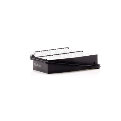 Bild av Luftfilter MANN FILTER C 24 567