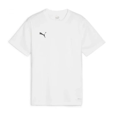 Bild av PUMA Unisex Teamgoal Jersey Jr Tee