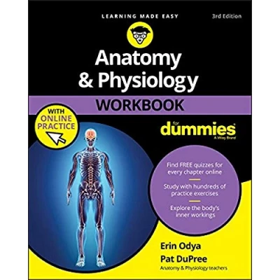 Bild av Anatomy &amp; Physiology Workbook For Dummies with Online Practice