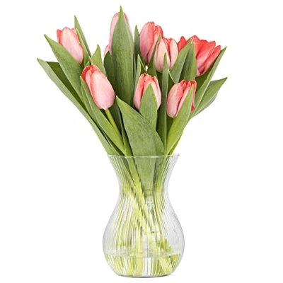 Bild av TREND FÖR HEM glasvas 18 cm blomvas för tulpaner genomskinliga längsgående ränder knoppvas glasvaser blommor blommig vas matbord ⌀ 11 1229 ml Lyra lysande