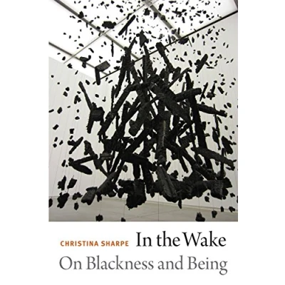 Bild av In the Wake : On Blackness And Being /anglais