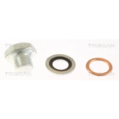 Bild av TRISCAN 9500 1006 Bouchon De Vidange M14x1,25 8+21 PEUGEOT: 508 I SW, 206 3/5 portes, 308 CITROËN: C15 Break, C5 5 portes