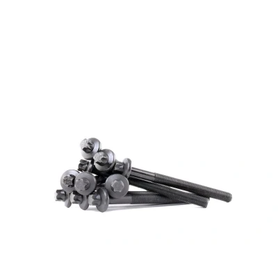 Bild av CORTECO 016244B Jeu De Vis Culasse Torx extérieur 10 RENAULT: TWINGO 1, 2, 1 Kasten