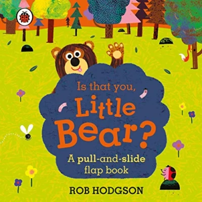 Bild av Is that you, Little Bear?: A pull and slide flap book