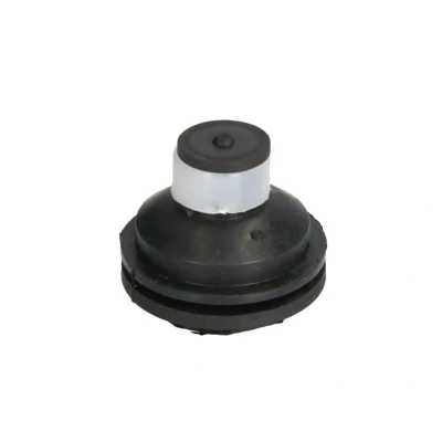 Bild av Motormontering Reinhoch RH11 2109