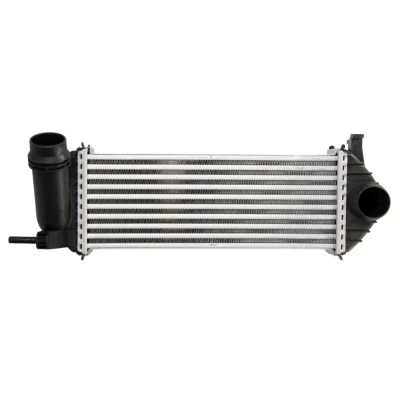 Bild av Laddluftkylare THERMOTEC DAM019TT