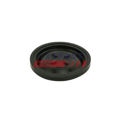 Bild av FAST FT60101 Diaphragme, ventilation du carter moteur CITROËN: C4 I 3/5 portes, C3 Xsara Picasso, FORD: C Max