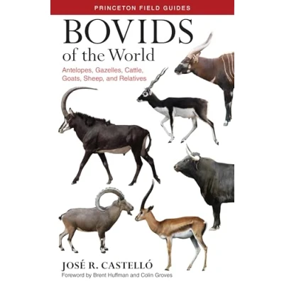 Bild av Bovids of the World: Antelopes, Gazelles, Cattle, Goats, Sheep, and Relatives: 104