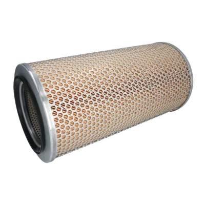 Bild av Luftfilter Mann filter C 20 024