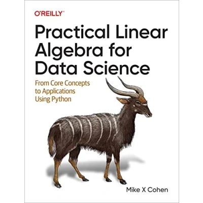 Bild av Practical Linear Algebra for Data Science: From Core Concepts to Applications Using Python