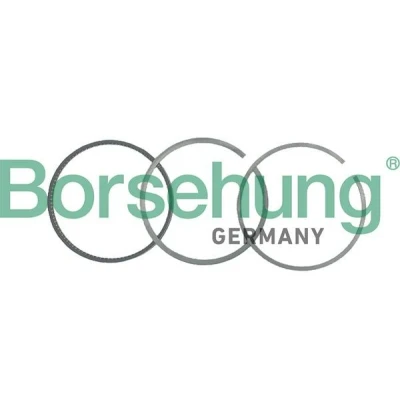 Bild av Borsehung B19054 Jeu De Segments Pistons AUDI: A4 B5 Avant, A6 C5 Berline, B6 Berline
