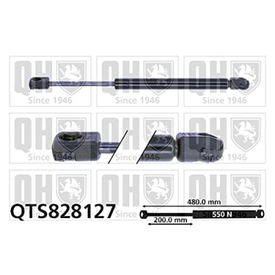 Bild av QUINTON HAZELL QTS828127 Vérin de coffre 550 480 VOLKSWAGEN: Golf Plus / Crossgolf