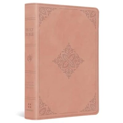 Bild av ESV Value Large Print Compact Bible
