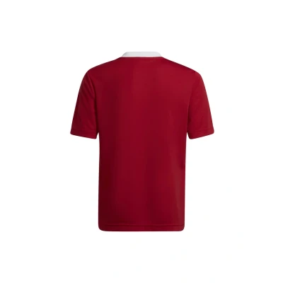 Bild av adidas Ent22 Jsy Tröjor Tepore 152