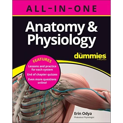 Bild av Anatomy &amp; Physiology All in One For Dummies (+ Chapter Quizzes Online)