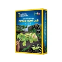 Bild av National Geographic Gecko Dissection Lab