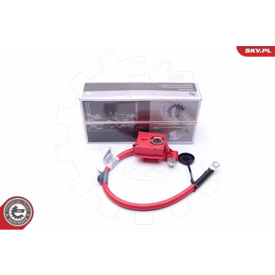 Bild av ESEN SKV 96SKV302 Câble de connexion, batterie BMW: 3 Touring
