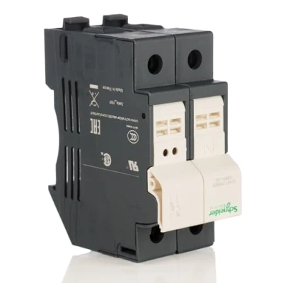 Bild av Schneider DF102 säkringshållare Tesys 2P 32A, säkringsstorlek 10x38 mm
