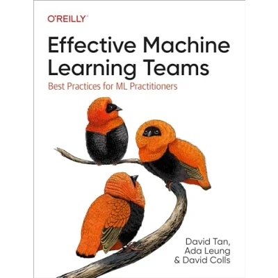 Bild av Effective Machine Learning Teams: Best Practices for ML Practitioners