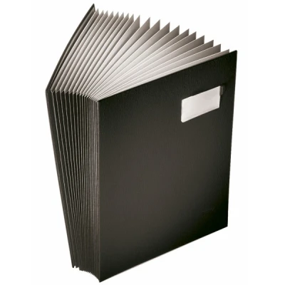 Bild av Leitz classification folder 20 parts for A4 tabbed black