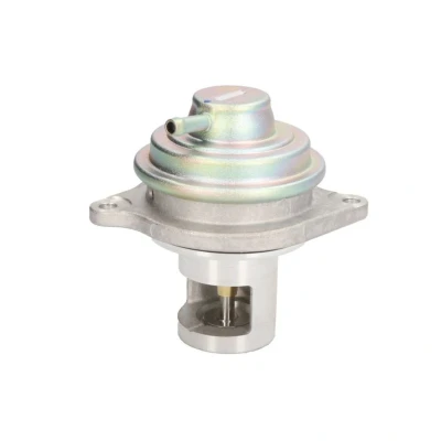 Bild av Agr Ventil DELPHI EG10525 12B1