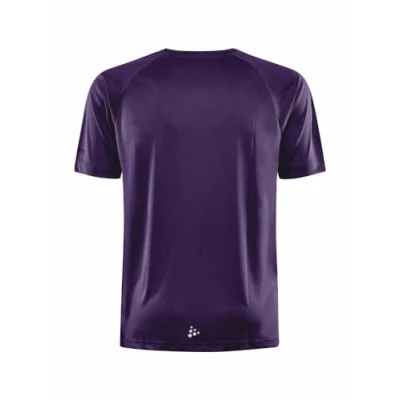 Bild av CRAFT Tränings tee CORE herr lila XL