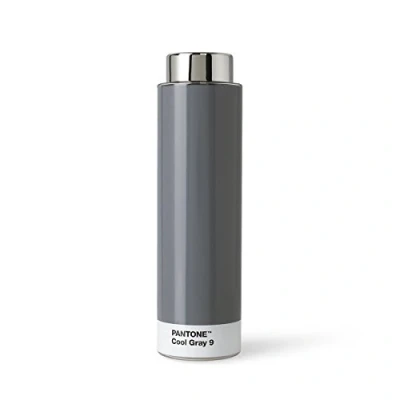 Bild av PANTONE Drinking bottle, Tritan (plastic) water 500 ml, grey, Cool Gray 2 C