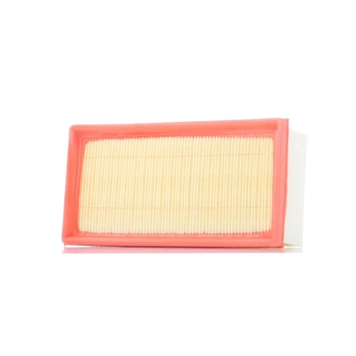 Bild av Luftfilter PURFLUX A1334