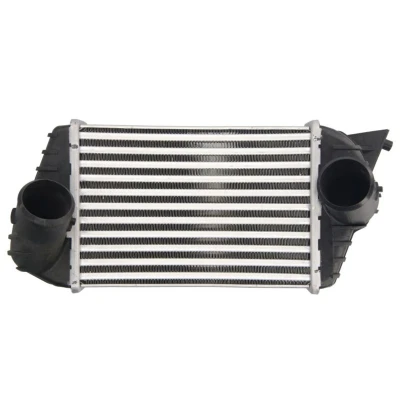 Bild av Laddluftkylare Thermotec DAF009TT