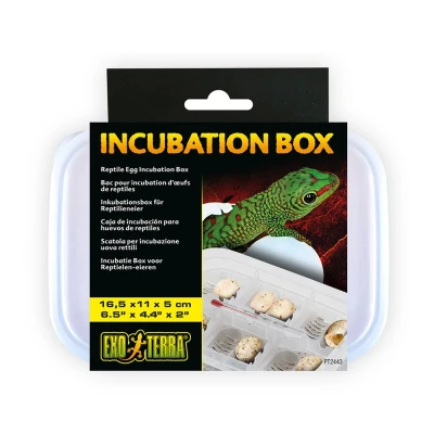 Bild av Exo Terra Reptile Egg Incubation Box