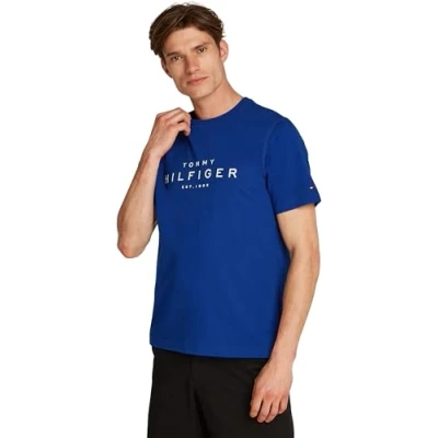 Bild av Tommy Hilfiger BIG TEE Tshirt med print, Storlek: XS, Wedge blue