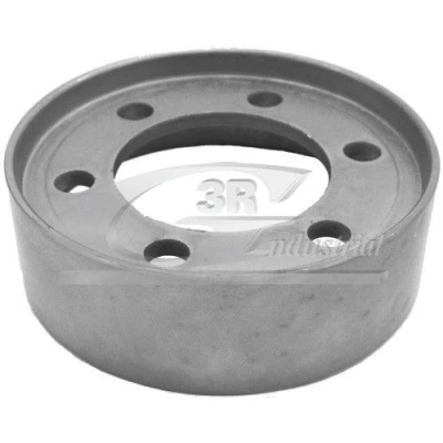 Bild av 3RG 10653 Poulie renvoi/transmission, courroie de distribution RENAULT: CLIO 2, Kangoo I, MEGANE 1