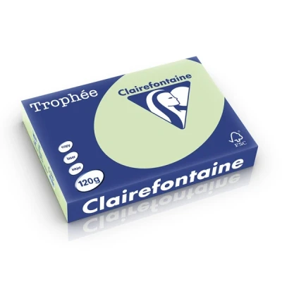 Bild av Clairefontaine 1203C Ries skrivarpapper/kopieringspapper, troféer, intensiva färger, DIN A4, 120 g, 250 ark, beige, 1